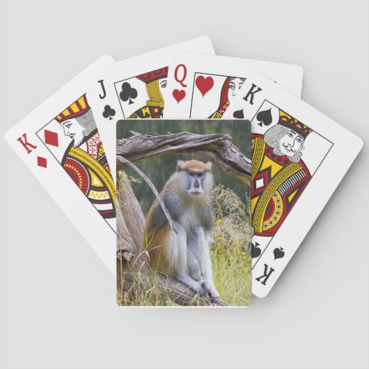 Jeu De Cartes Patas Monkey (dos)