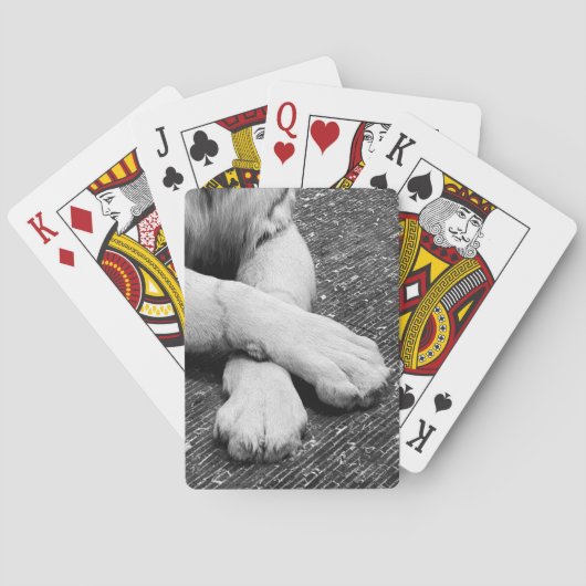 Jeu De Cartes Pâtes (dos)