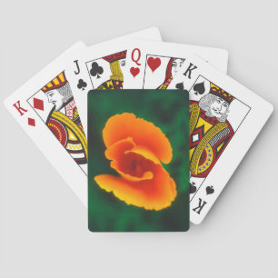 Jeu De Cartes Pavot de Californie