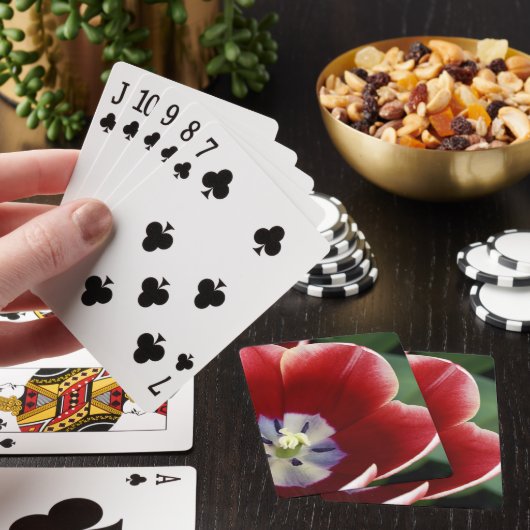 Jeu De Cartes Pays-Bas (alias Holland), Lisse. Keukenhof 3 (In Situ)