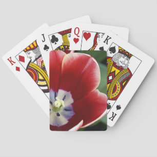 Jeu De Cartes Pays-Bas (aussi appelé Hollande), Lisse. Keukenhof