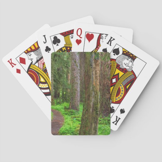 Jeu De Cartes Paysage de forêt ancienne (dos)