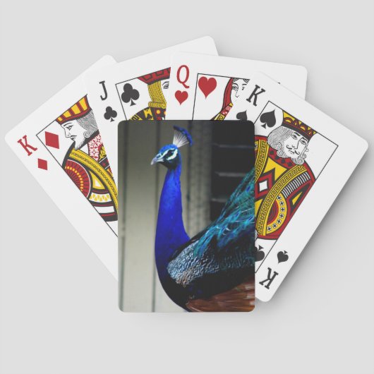 Jeu De Cartes Peacock Classic Playing Cartes (dos)