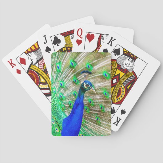 Jeu De Cartes Peacock Plumage (dos)