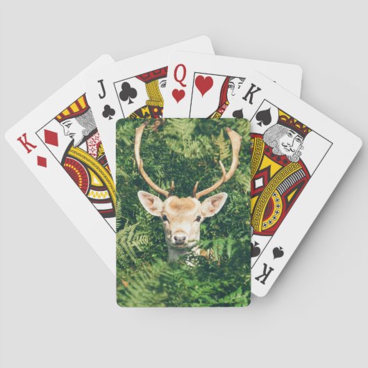 Jeu De Cartes Peek a Deer (dos)