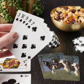 Jeu De Cartes Peignez la jument et le poulain (In Situ)