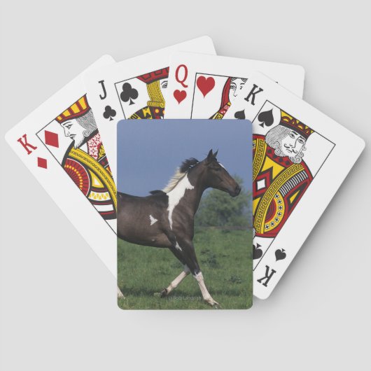 Jeu De Cartes Peignez le cheval courant 2 (dos)