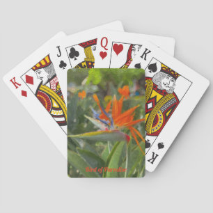 Jeu De Cartes Peinture à l'huile d'Oiseau du Paradis
