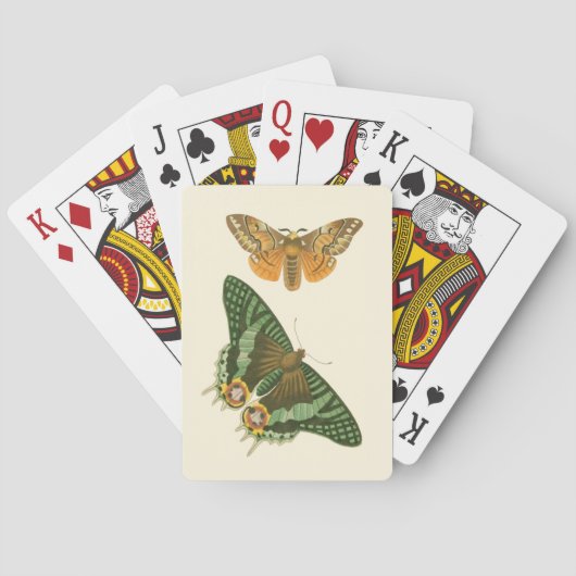 Jeu De Cartes Peinture à papillon légèrement frontière (dos)