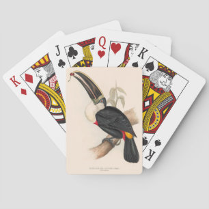 Jeu De Cartes Peinture animalière d'antiquités Toucans