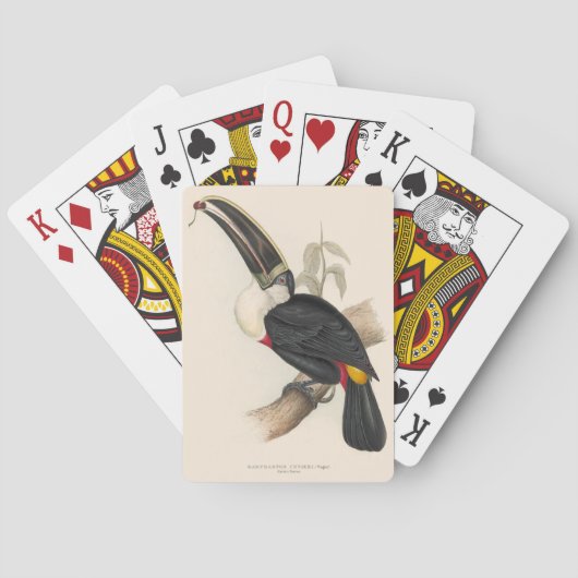Jeu De Cartes Peinture animalière d'antiquités Toucans (dos)