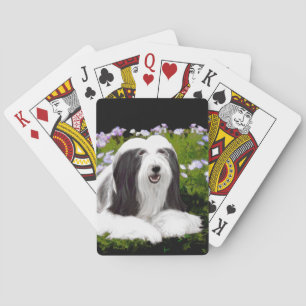 Jeu De Cartes Peinture de collie barrée - Belle peinture origina