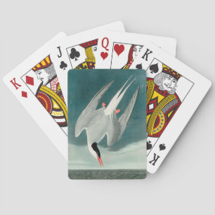 Jeu De Cartes Peinture de faune d'oiseau de sterne arctique Audu