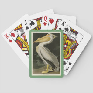 Jeu De Cartes Pélican blanc américain, les oiseaux d'Amérique d'