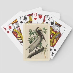 Jeu De Cartes Pélican Brown d'Audubon's Birds of America