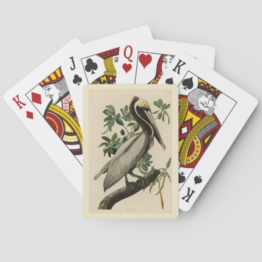 Jeu De Cartes Pélican Brown d'Audubon's Birds of America (dos)
