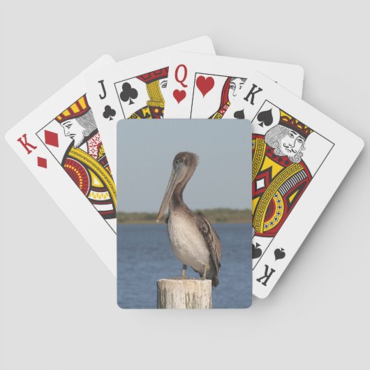 Jeu De Cartes Pélican Photodeck de cartes (dos)