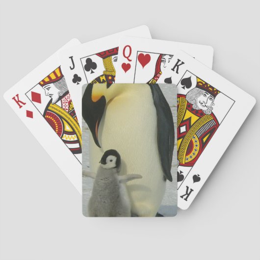 Jeu De Cartes Penguin regardant le poussin (dos)
