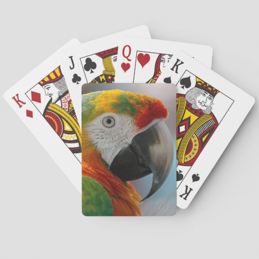 Jeu De Cartes Perroquet de Macaw Tropical (dos)