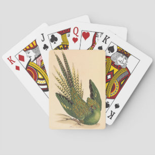 Jeu De Cartes Perruche terrestre de James Sowerby, Psittacus ter