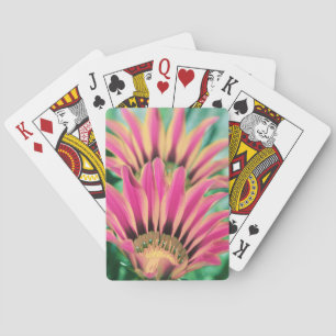 Jeu De Cartes Pétales de marguerite rose vif