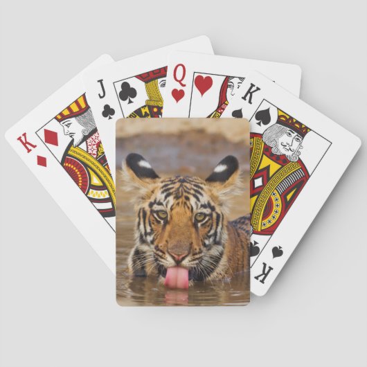 Jeu De Cartes Petit animal de tigre royal de Bengale, eau (dos)
