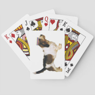 Jeu De Cartes Petit Basset Griffon Vendéen Dapper