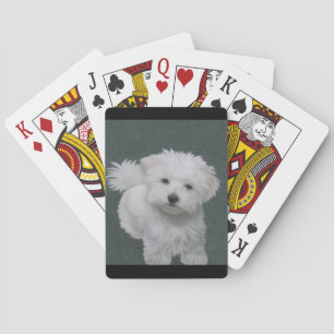 Jeu De Cartes Petit portrait de chien blanc