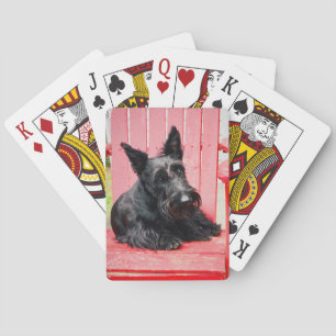 Jeu De Cartes Petit Scottie dans un grand fauteuil rouge