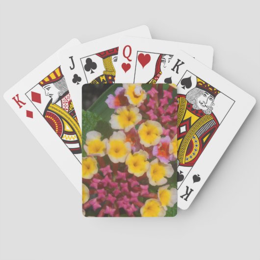 Jeu De Cartes Petites Fleurs Tropicales Jaunes Aux Bureaux Roses (dos)