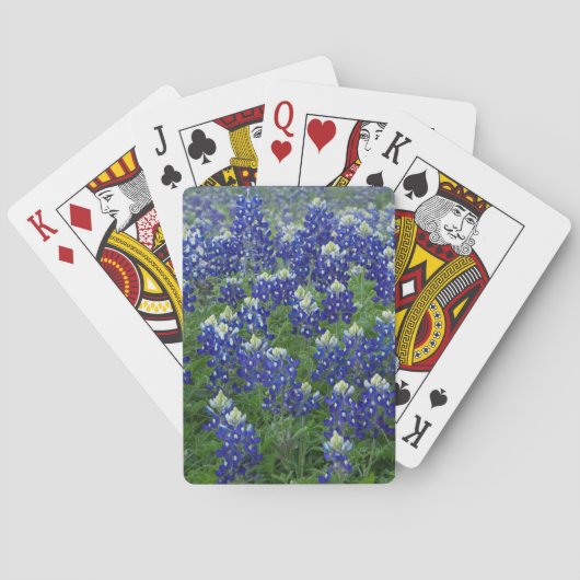 Jeu De Cartes Photo de champ de Bluebonnets de Texas (dos)