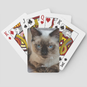 Jeu De Cartes Photo de chat Ragdoll personnalisé avec nom