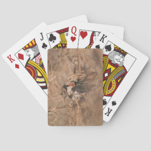 Jeu De Cartes Photo de faune rustique de printemps d'oiseaux moi