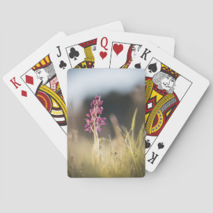 Jeu De Cartes Photo de la nature sauvage de l'orchidée