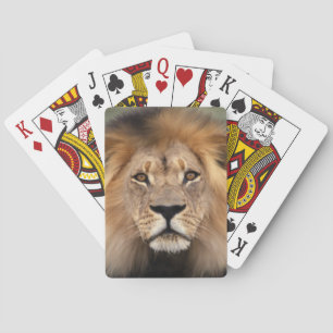 Jeu De Cartes Photo de lion