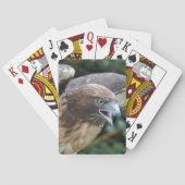 Jeu De Cartes Photo de rapace Buse à queue rousse (dos)