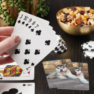 Jeu De Cartes Photo du Modèle de Chien Chien Chien Chien Chien C