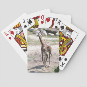 Jeu De Cartes Photo d'une petite girafe marchant dans la nature