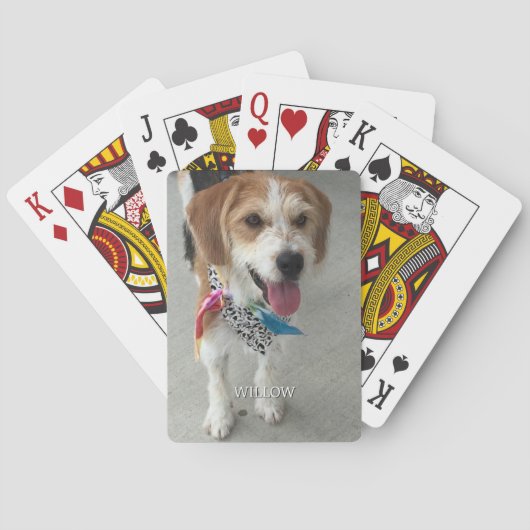 Jeu De Cartes Photo et nom de l'animal (dos)