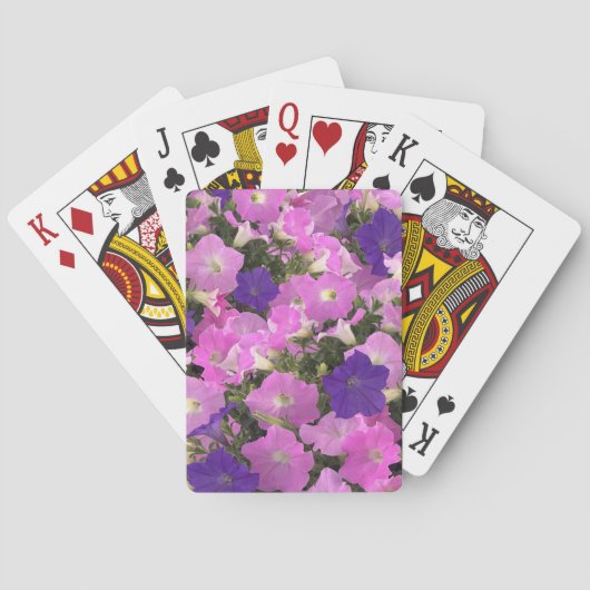 Jeu De Cartes Photo Image Of Morning Glory Pink & Purple Flowers (dos)