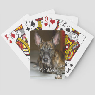 Jeu De Cartes Photo personnalisé de chat de compagnie chien 
