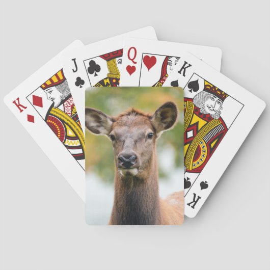 Jeu De Cartes Photo personnalisée (dos)