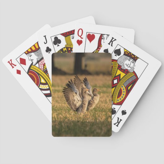 Jeu De Cartes Photo personnalisée (dos)