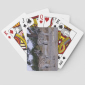 Jeu De Cartes Photo Zebra Double Take (dos)