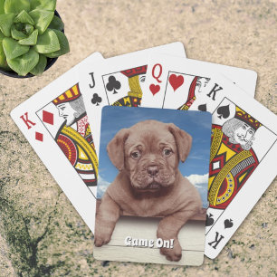Jeu De Cartes Photographie de chiot brun adorable