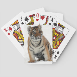 Jeu De Cartes Photographie de jeune tigre dans la neige