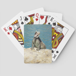 Jeu De Cartes Photographie de la faune tropicale Iguana à St. Th