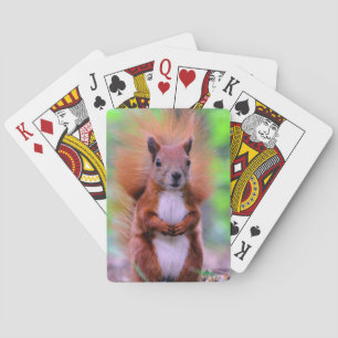 Jeu De Cartes Photographie mignonne d'écureuil rouge