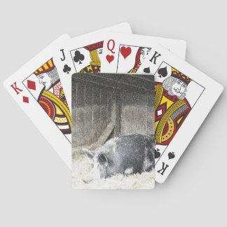 Jeu De Cartes Pig à jouer aux cartes
