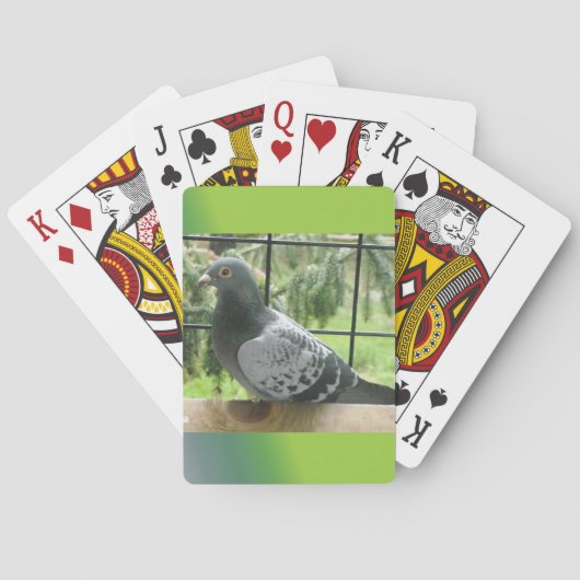 Jeu De Cartes Pigeon (dos)